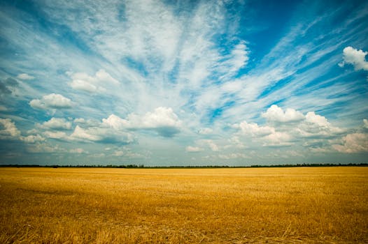 Vast agricultural field in Ukraine under a striking sky of clouds and blue hues.